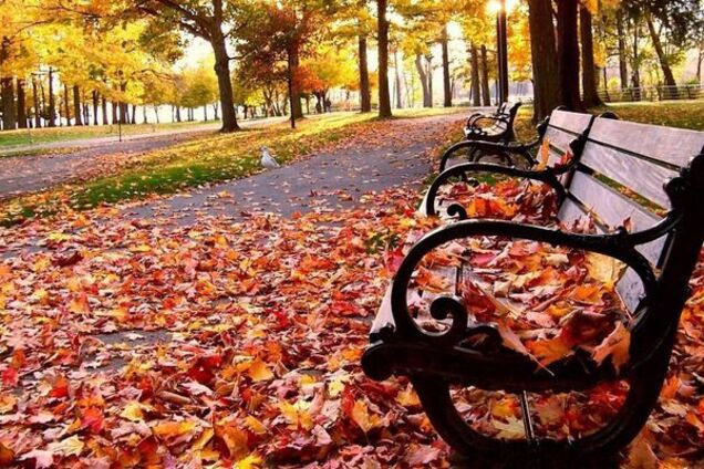 Когда придет похолодание: синоптики дали прогноз по Украине