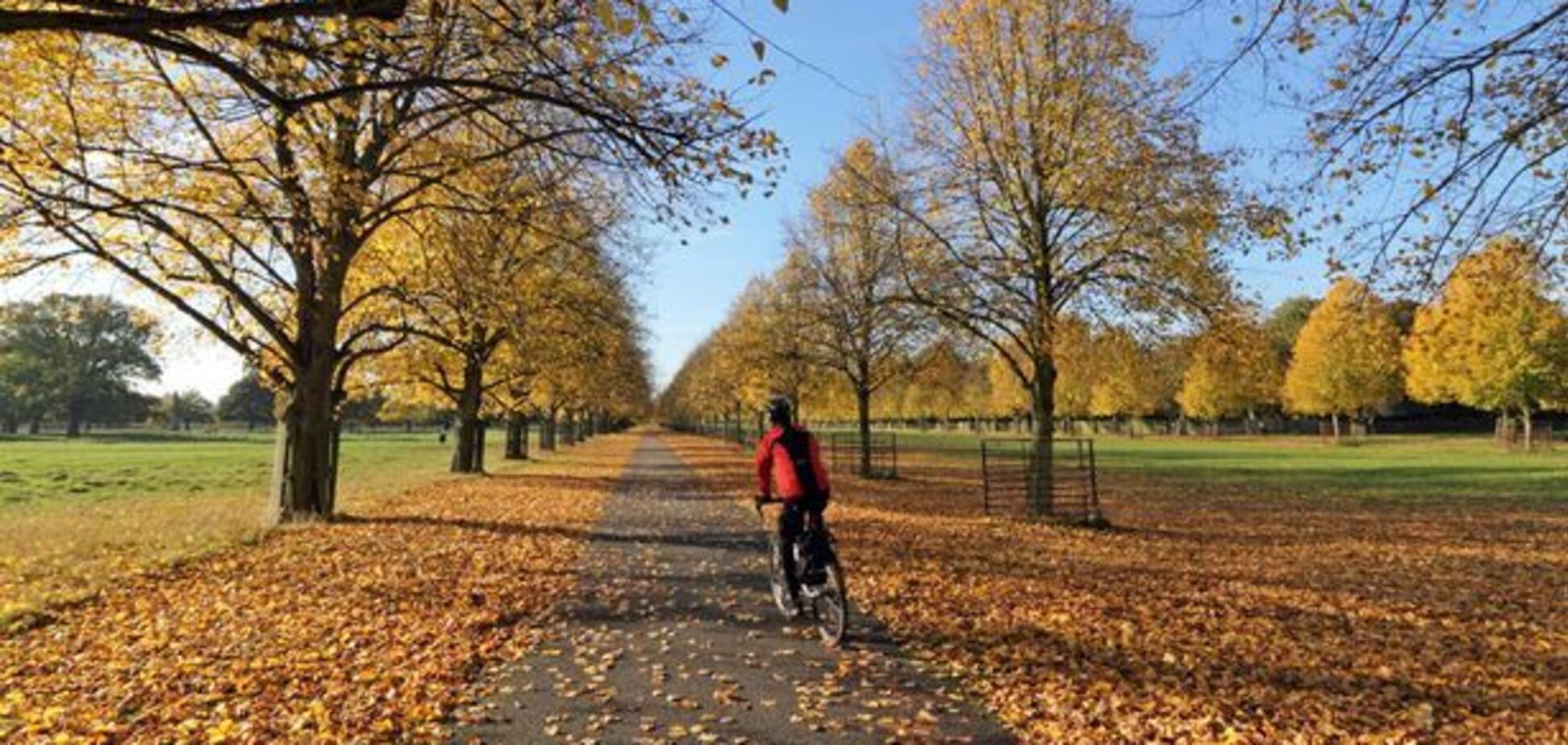 Україну накрив антициклон Zouhir: синоптик уточнила прогноз