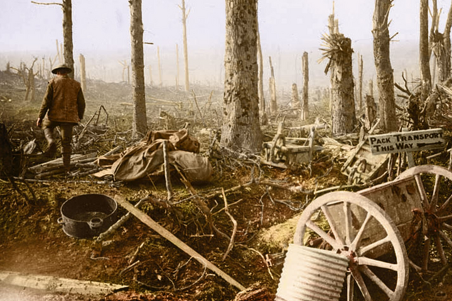 100-річчя закінчення Першої світової війни: фотограф показав похмурі знімки