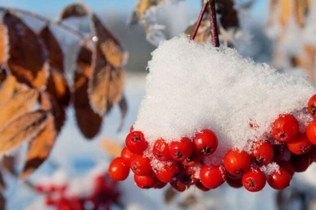 Еще дважды потеплеет: синоптики дали прогноз погоды до конца ноября в Украине