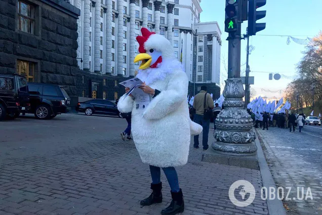 Под стены Кабмина пришли гигантские куры: фоторепортаж с места событий