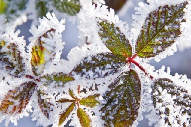 Дихання зими: синоптики дали холодний прогноз по Україні