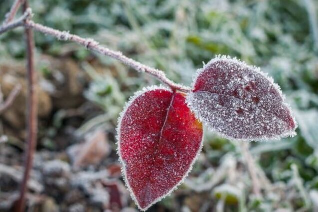 Ідуть перші морози: синоптики попередили про різку зміну погоди в Україні