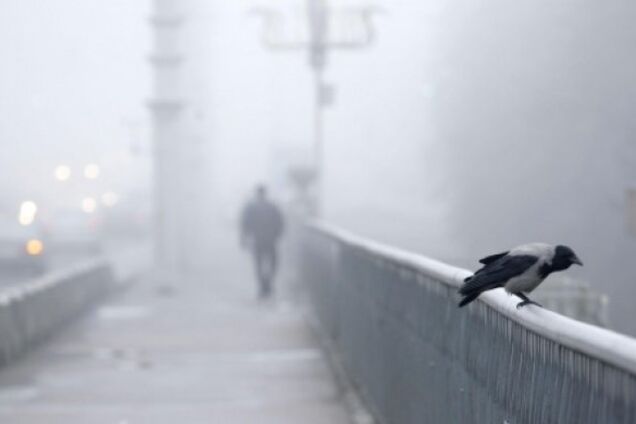 Сильнейший ветер и туман: синоптики уточнили прогноз погоды в Украине