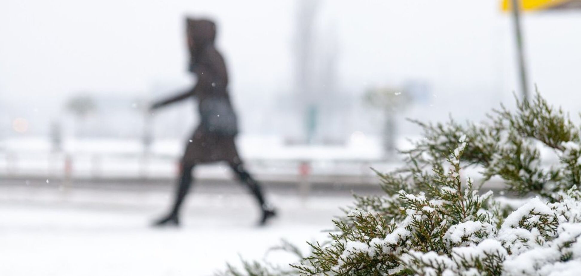 Шквальний вітер і до 18 сантиметрів снігу: до Києва прийде ураган