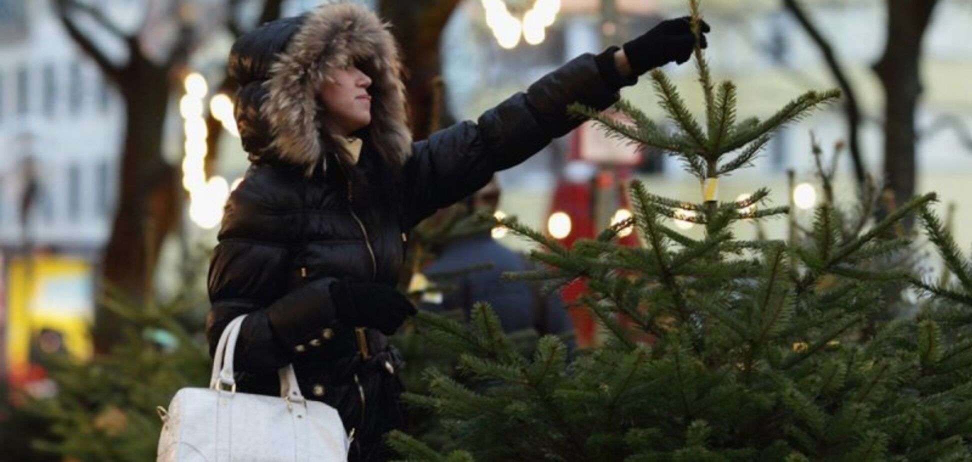 Деревья с радиацией и огромной наценкой: как не прогадать с новогодней елкой