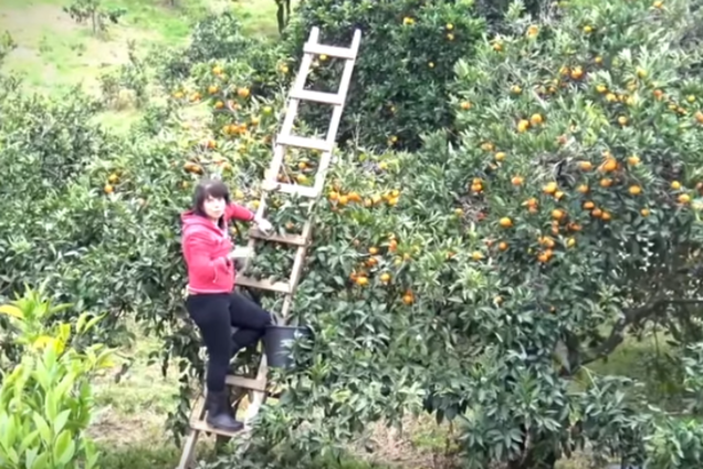 ''Источник дешевой рабочей силы'': стало известно, как спасаются жители Донбасса от ''русского мира''