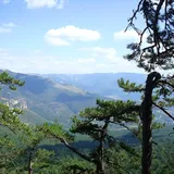 ''Истребление продолжается'': оккупантов Крыма уличили в новой подлости