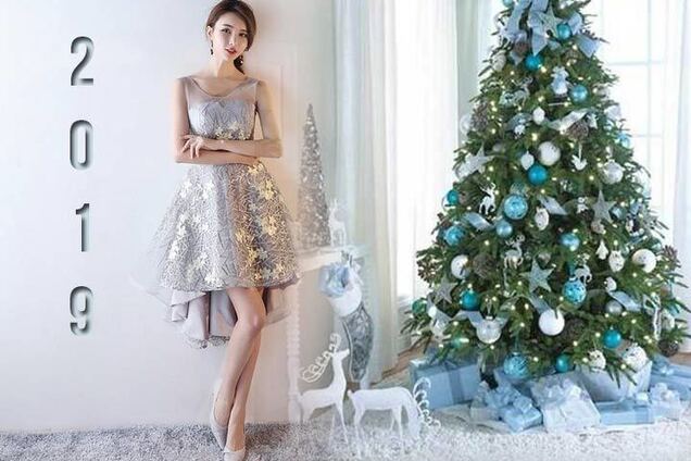 В чем встречать год Желтой Земляной Свиньи: советы дизайнера