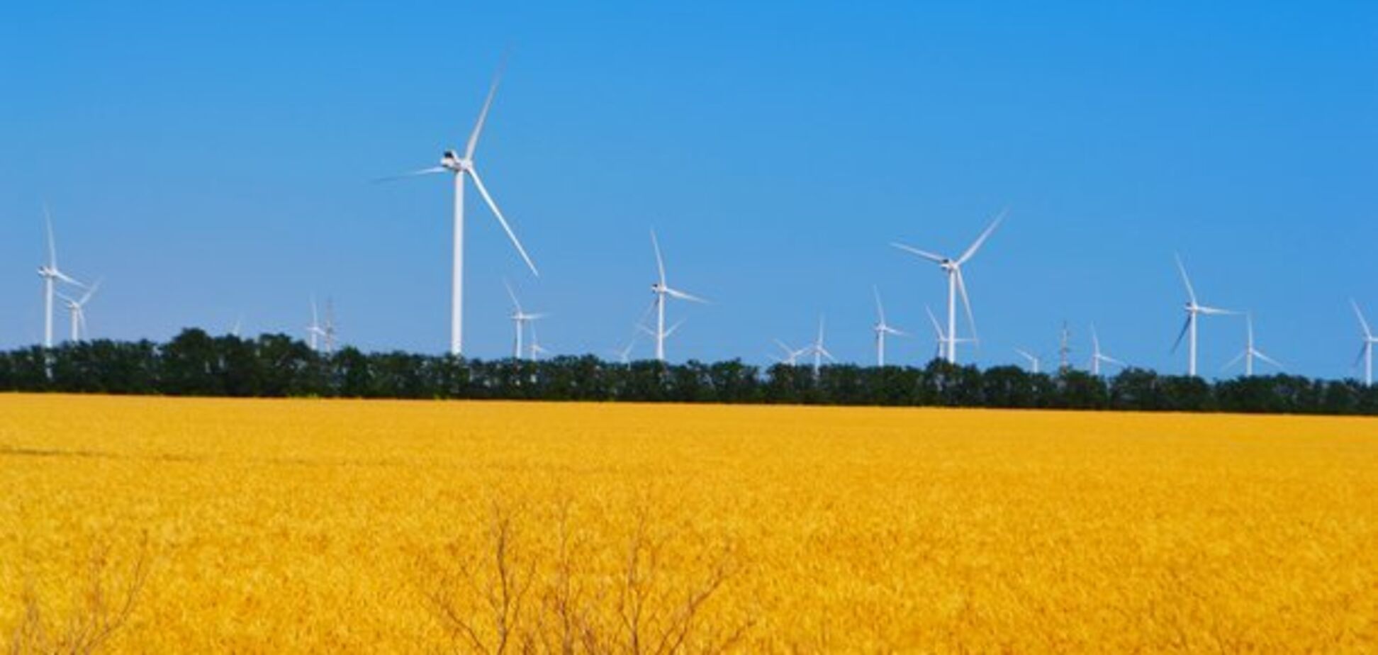 ДТЕК і Vestas розпочали будівництво Орловської ВЕС потужністю 100 МВт