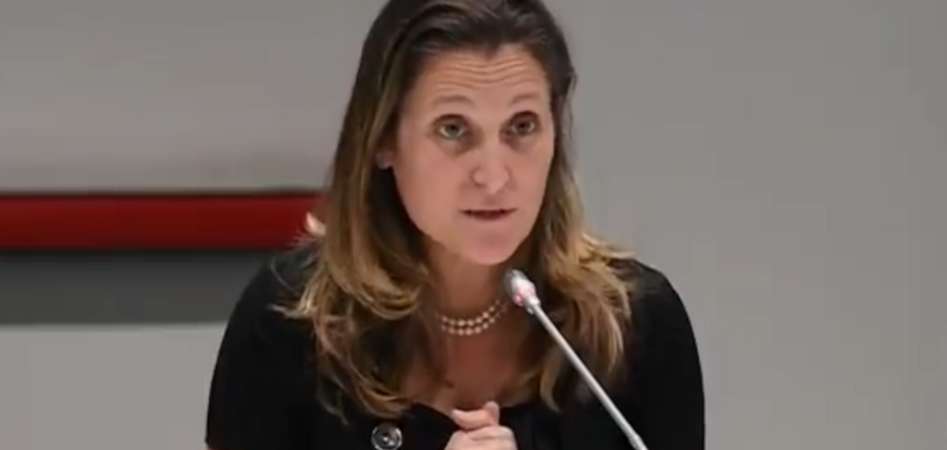 ''Ми вас підтримуємо'': глава МИД Канады выступила на украинском языке