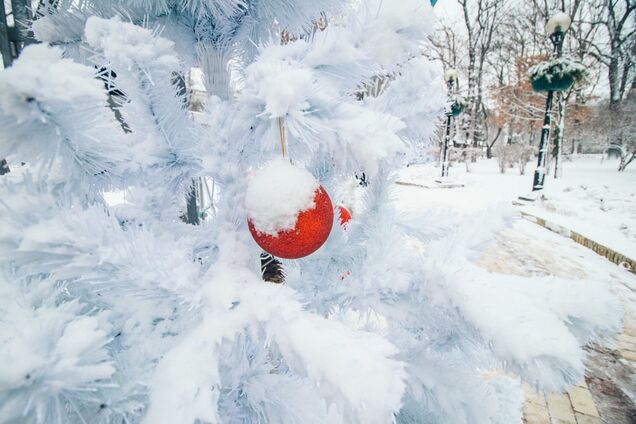 Київ засипало снігом: барвисті фото зимової столиці