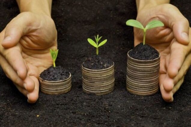 Мораторій на продаж землі в Україні: в Раді анонсували важливе рішення