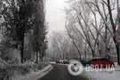 Снегопад в Киеве: что известно о ''жертвах'' непогоды