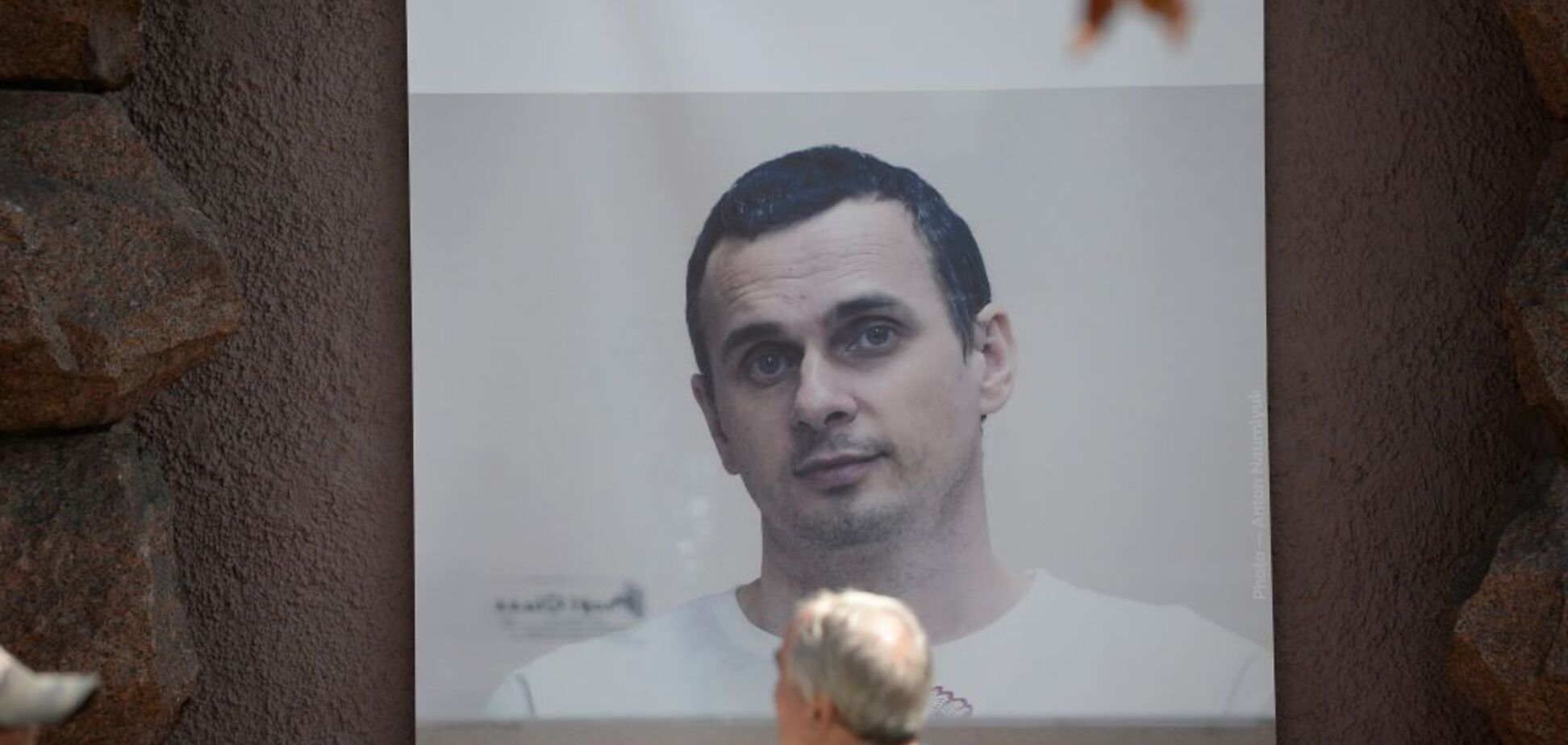 Кашин считает, что Сенцов - враг и его существование недопустимо