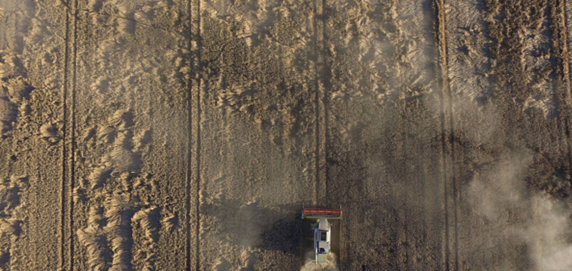 Снятие моратория на землю: озвучены новые цены за гектар