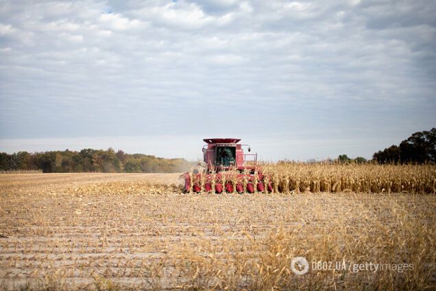 'Продадут за копейки!' Экономист озвучил угрозу снятия моратория на землю