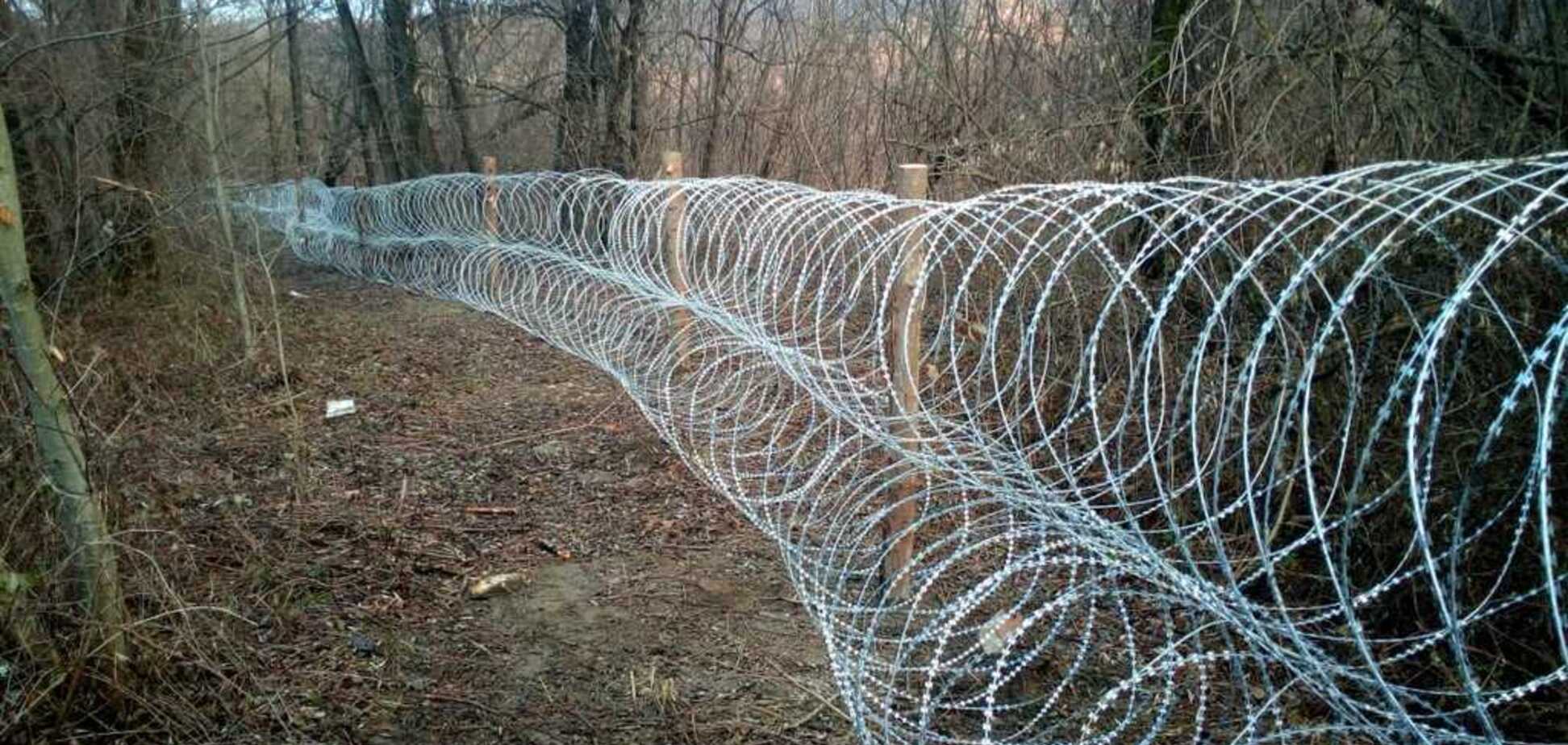 Украина укрепила границу на Закарпатье: что случилось