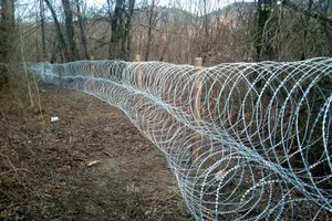 Украина укрепила границу на Закарпатье: что случилось