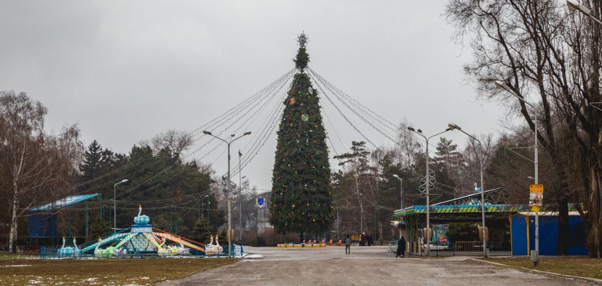 В Днепре установили главную елку города: как она выглядит