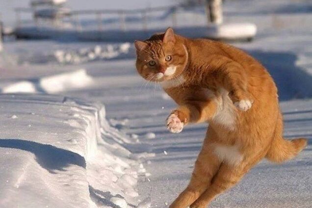 Мороз и солнце: синоптики дали прогноз по похолоданию в Украине