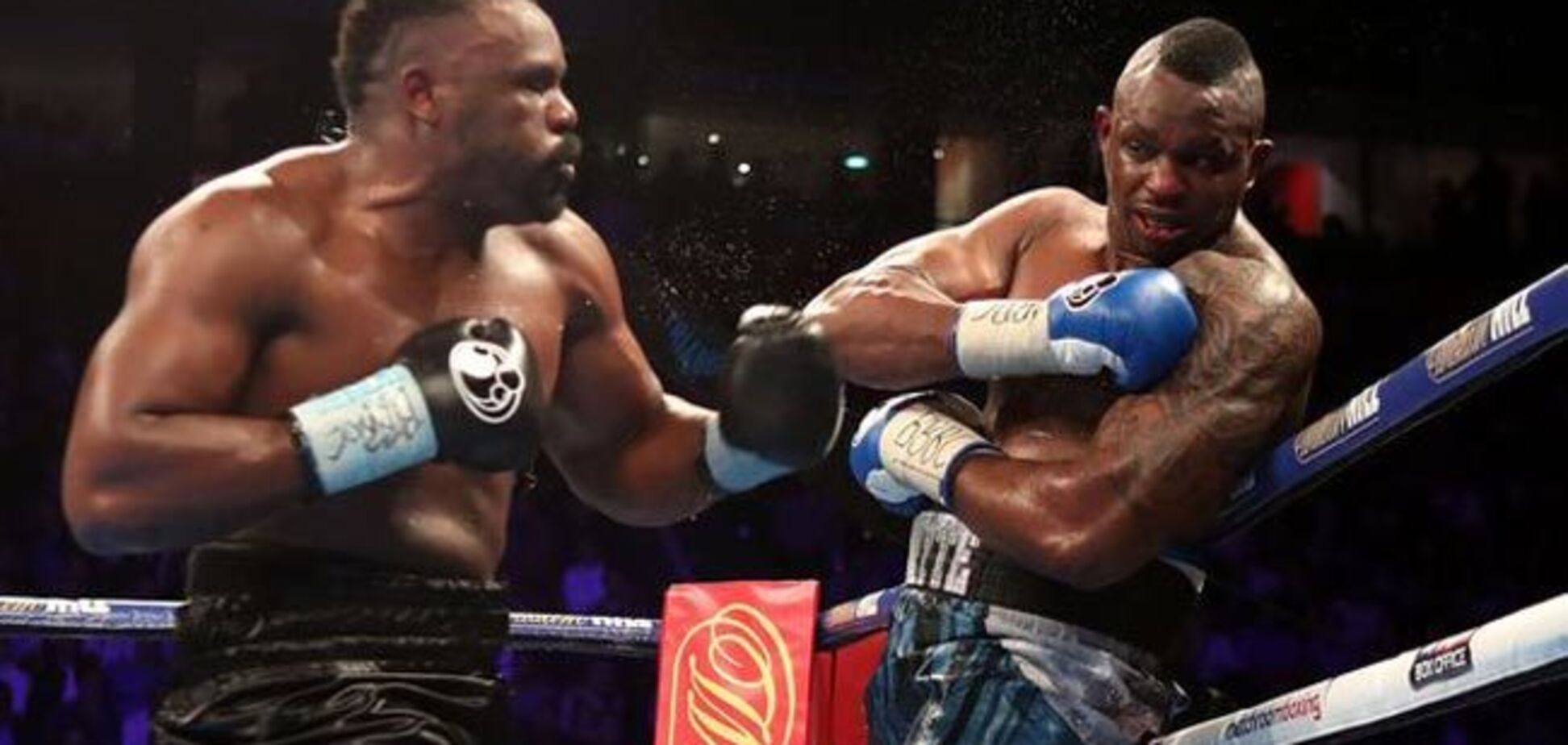 Где смотреть бой Уайт — Чисора: расписание трансляций