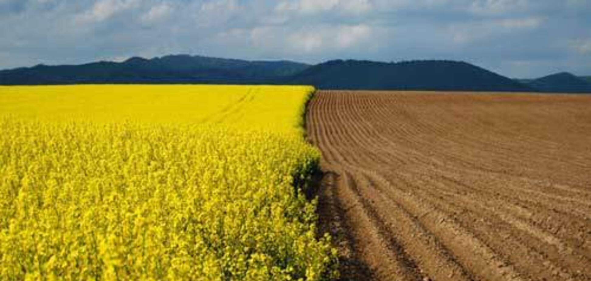 Обіг землі і нова аграрна політика. Пропозиції щодо нових основних законодавчих змін