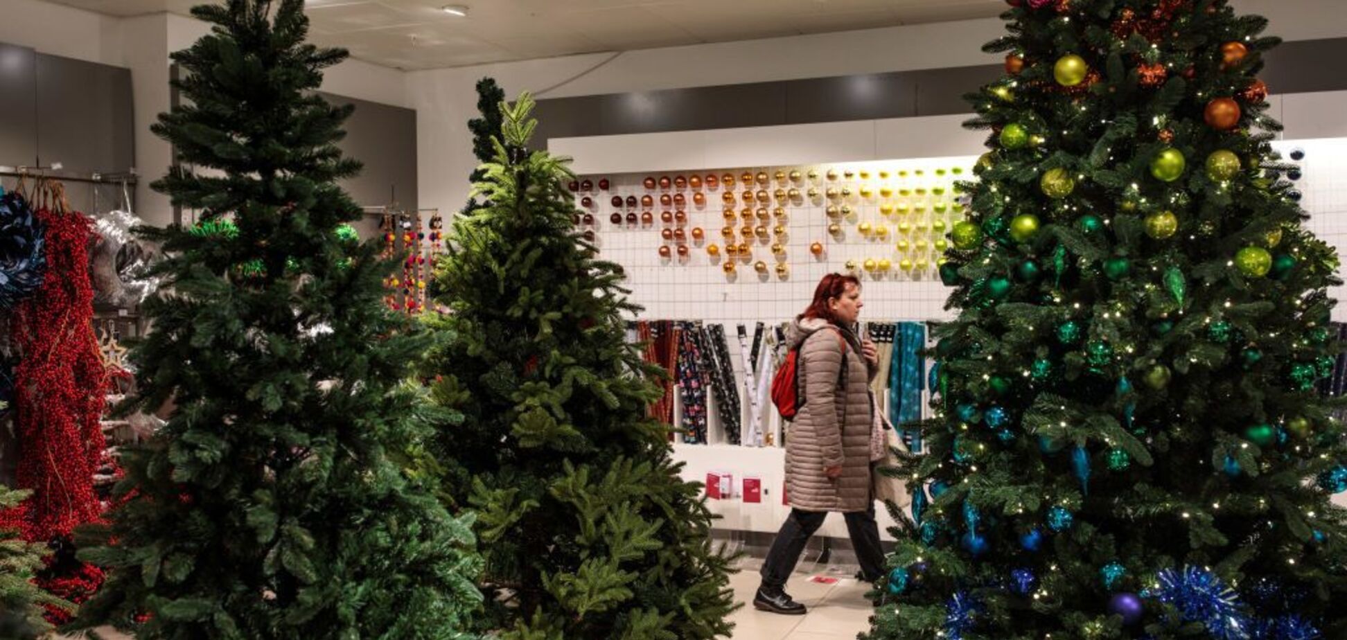 Как выбрать новогоднюю елку: 12 секретов