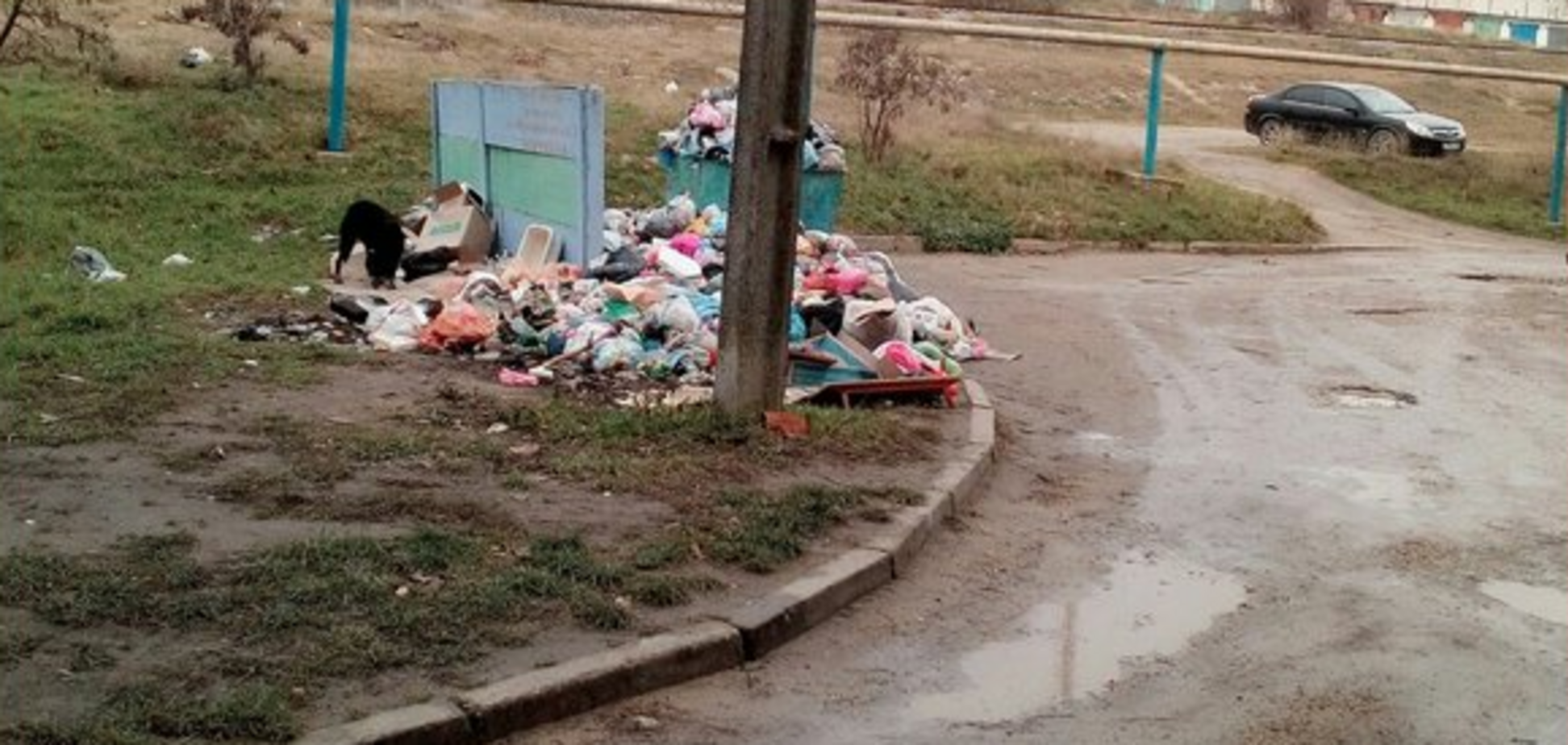 'Скоро перетвориться на смітник': мережу розлютило свавілля окупантів у Криму