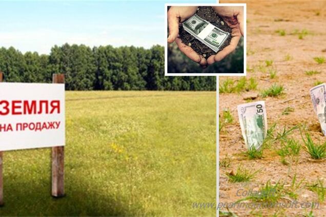 Мораторий на продажу земли в Украине