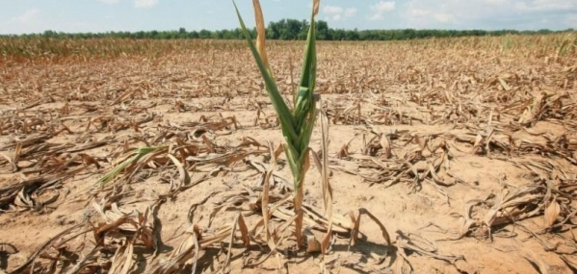 ''Води не вистачить'': окупанти Криму визнали катастрофу, що насувається