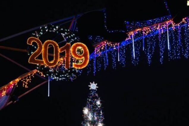 В Запорожье зажгли главную елку города: как она выглядит