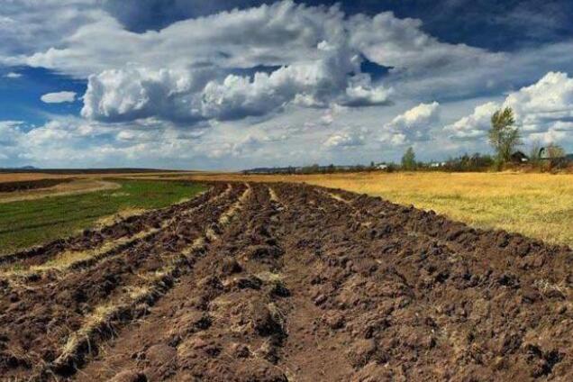 Мораторий на запрет продажи земли: победа оппозиции над ''теневыми'' схемами