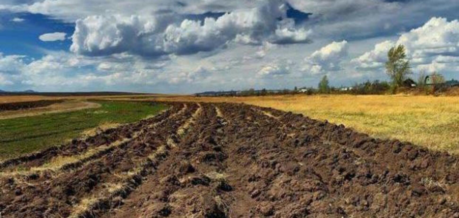 Українці зачекались на державу. Механізми державного управління в новій аграрній політиці