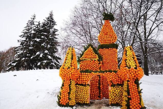 У Києві з'явилося цитрусове королівство: яскраві фото