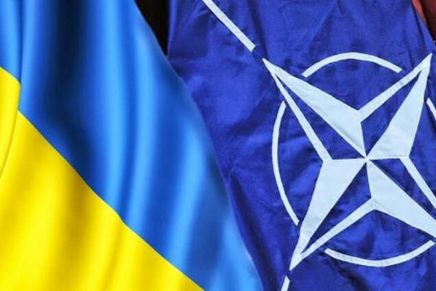 Коли Україна попаде в НАТО?
