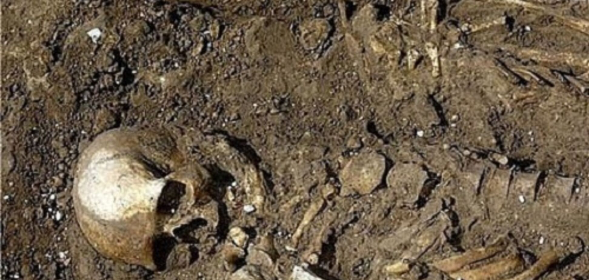 В Одесі знайшли цистерну з людськими останками: моторошні подробиці та фото