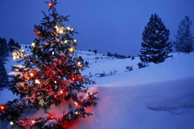 Мокрый и тяжелый снег: синоптики дали прогноз на предновогоднюю неделю