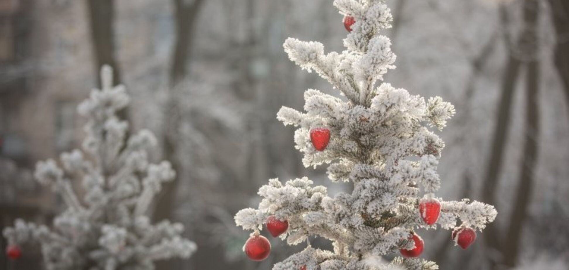 Дожди со снегом: синоптики уточнили потепление в Украине