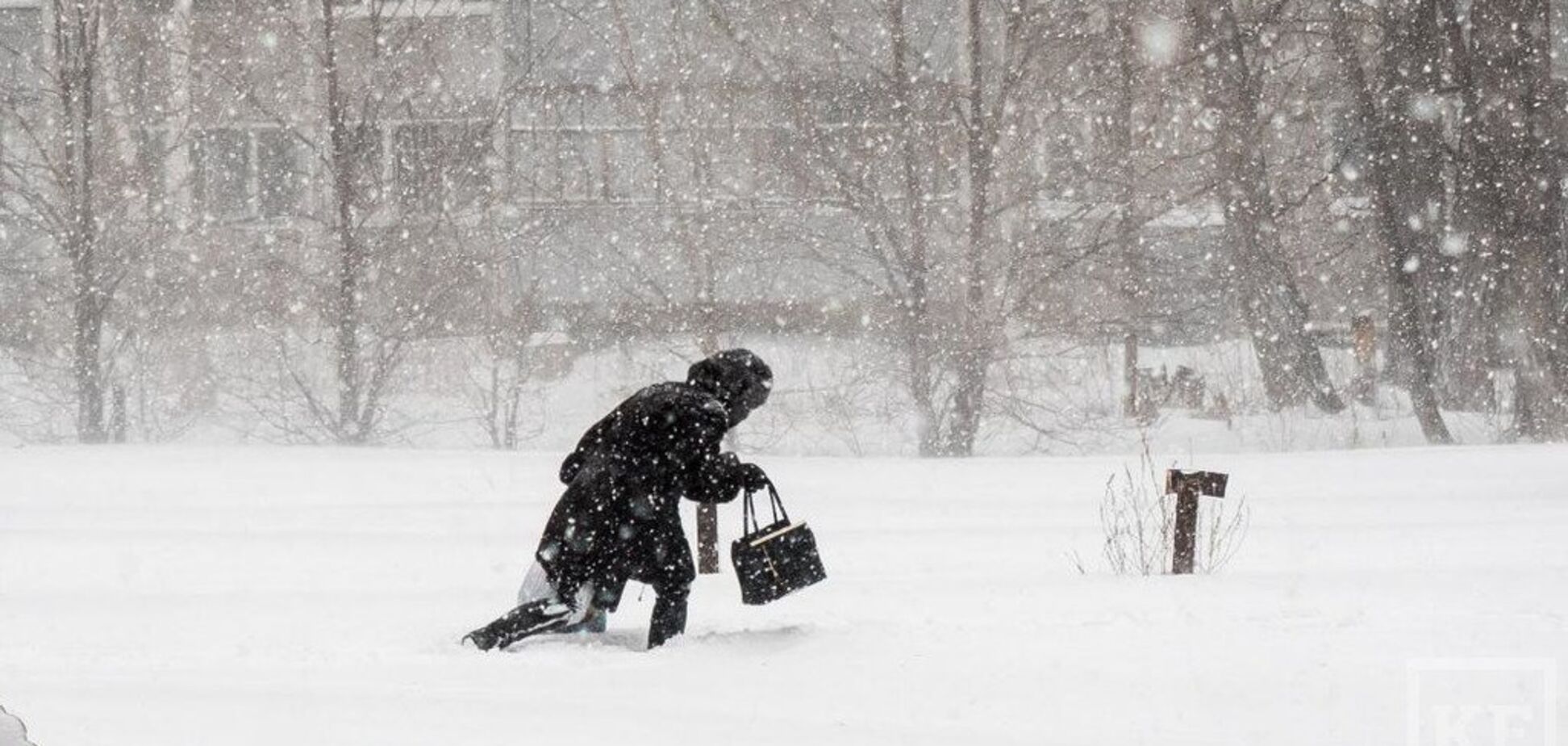 Сильный снег и ветер: синоптики предупредили об ухудшении погоды в Украине