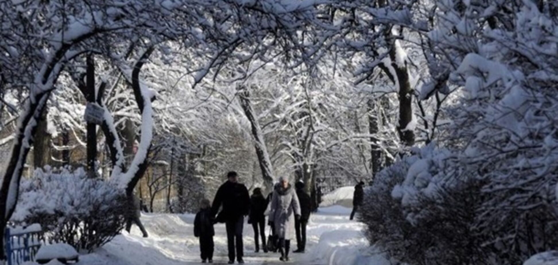 Морози до -25 і посухи: синоптики дали прогноз погоди в Україні на 2019 рік