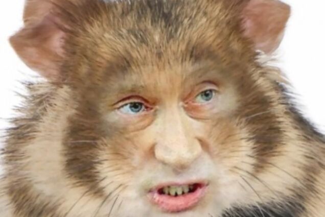 С 19-м годом Крысы, дорогие россияне!