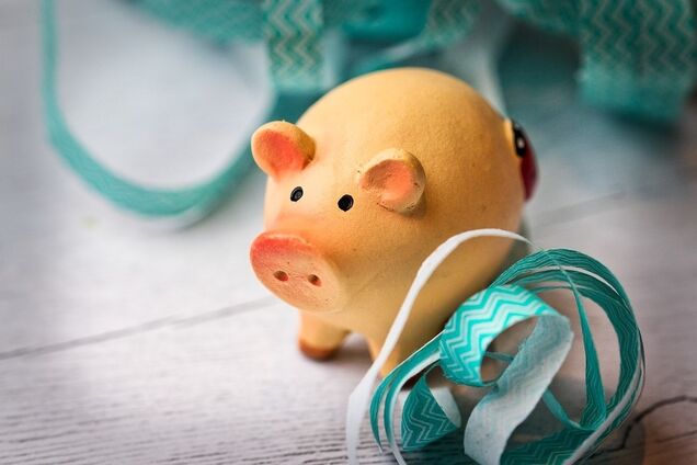 Год свиньи? Не страшно. Нам с таким соседом — не привыкать