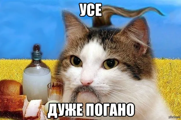 ''Кота зняли з лотка в Нацгвардію'': безглуздий фейк про жахи воєнного стану розвеселив українців