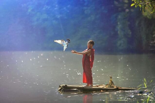 Отпусти свои чувства