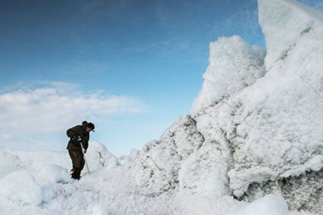 Возраст – 16 млн лет! За полярным кругом обнаружена уникальная находка