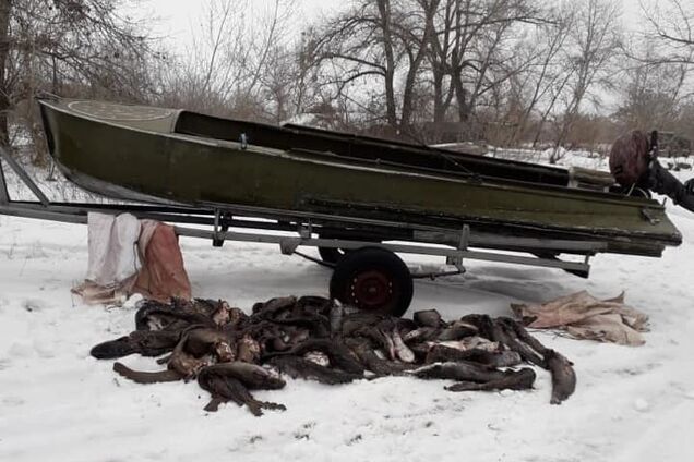 ''Твари!'' Браконьеры на Черкасщине уничтожили 140 кг рыбы