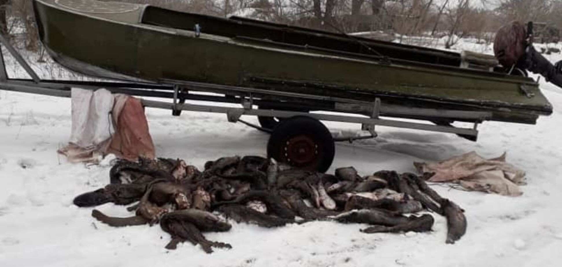 ''Твари!'' Браконьеры на Черкасщине уничтожили 140 кг рыбы