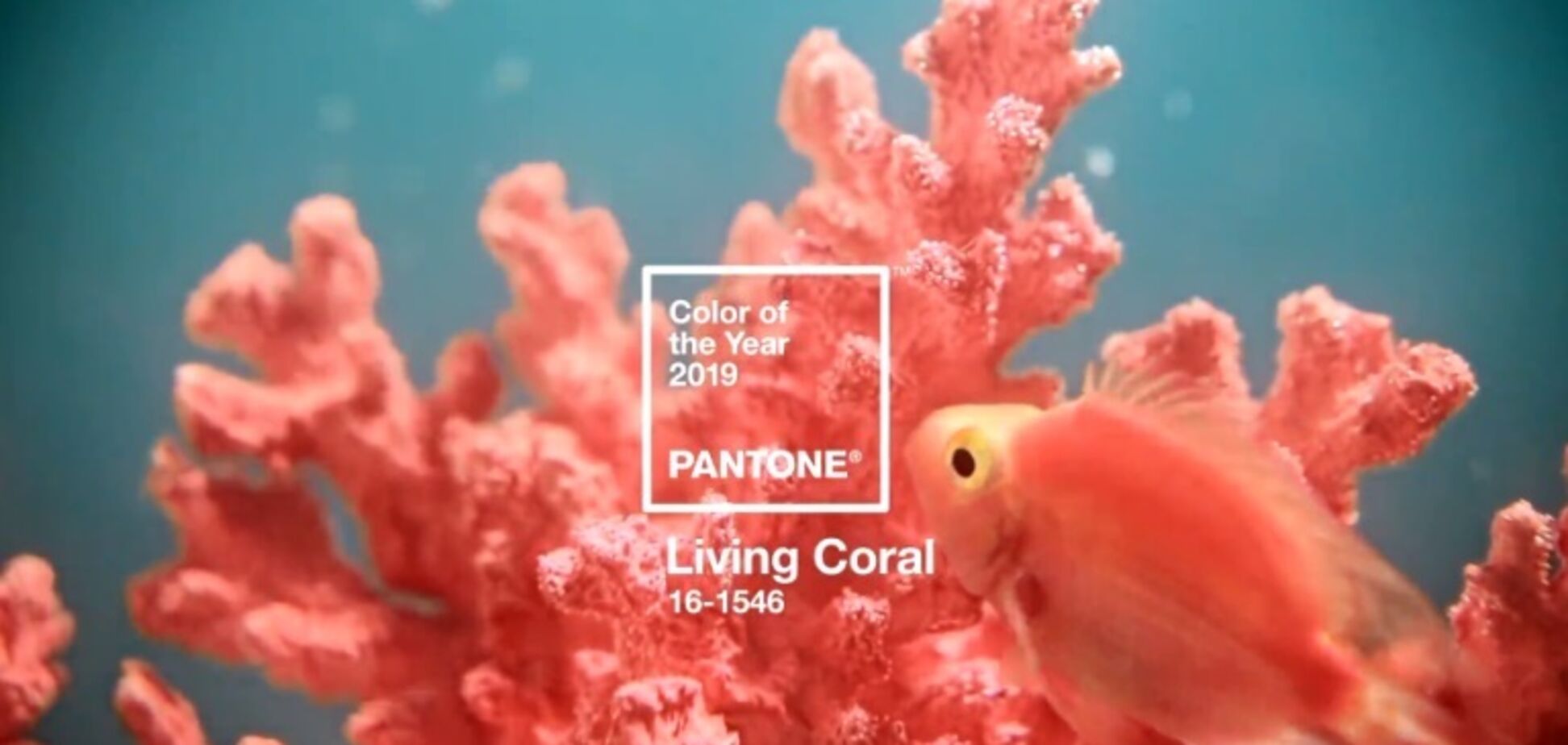 Колір неба у сутінках: названо головний відтінок 2019 року