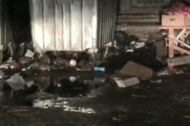 ''Комунальникам страшно!'' У центрі Києва помітили навалу щурів